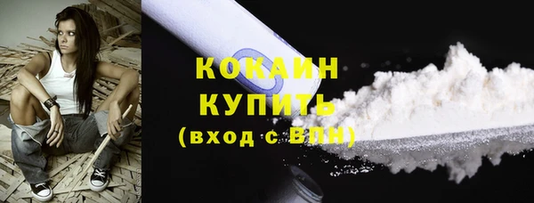стаф Михайлов