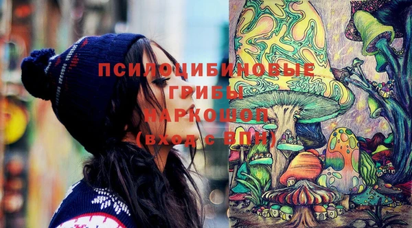 дмт Медногорск