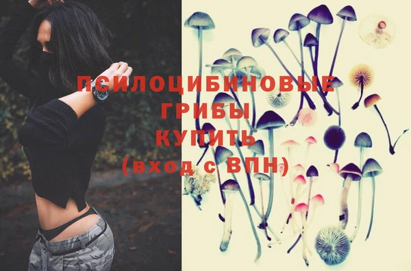 молекула духа Михайловск