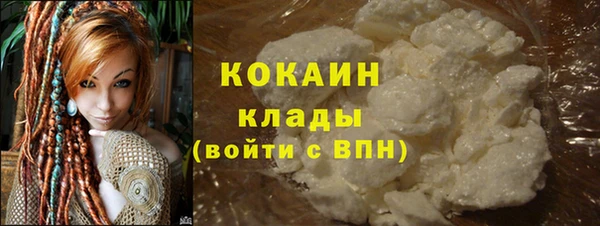 мдпв Осташков