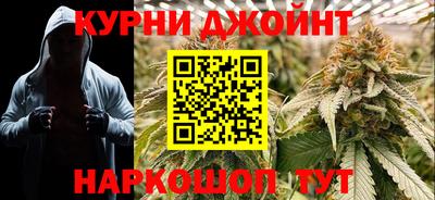 сатива Конаково