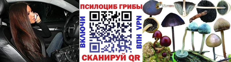 Псилоцибиновые грибы Cubensis  где найти наркотики  Тула 