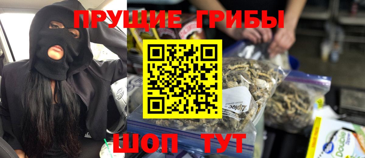Псилоцибиновые грибы GOLDEN TEACHER  Псилоцибиновые грибы Magic Shrooms  Тула  Вход с VPN 